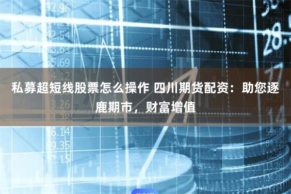 私募超短线股票怎么操作 四川期货配资：助您逐鹿期市，财富增值