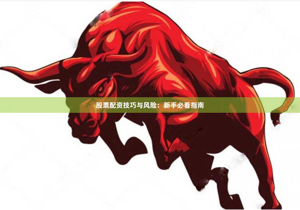 股票配资技巧与风险：新手必看指南