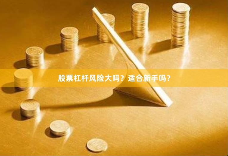 股票杠杆风险大吗？适合新手吗？